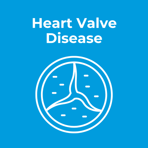 Whiteboard Explainers | Heart Valve Disease Learning Series