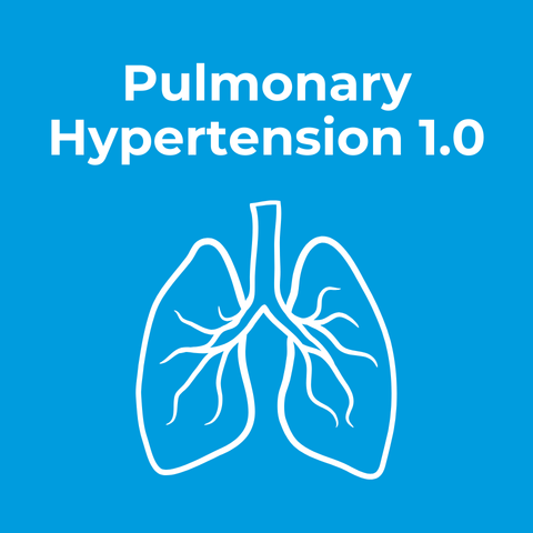 CCS/CSE Pulmonary Hypertension - Part 2: Echocardiographic Assessment in Context: Tips and Tricks